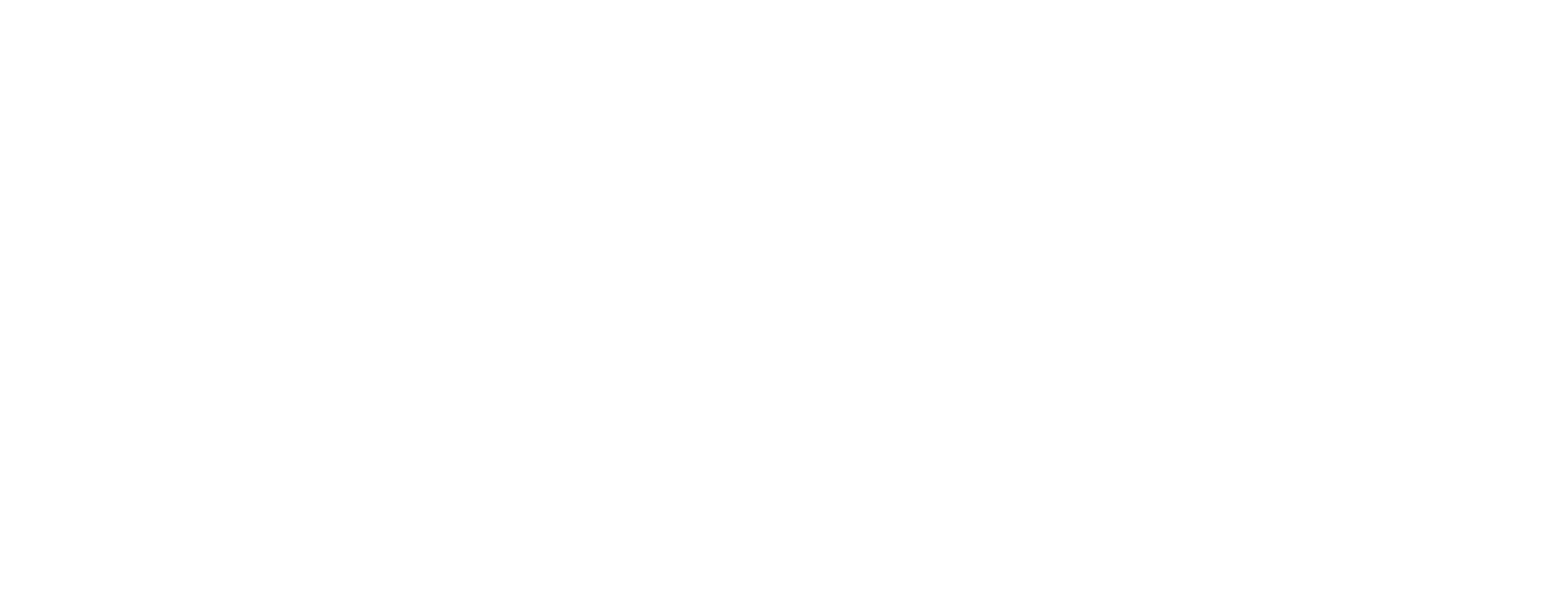 Dental Axess Logo white
