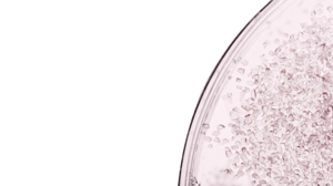 Biologics and Bonde Regeneration picture